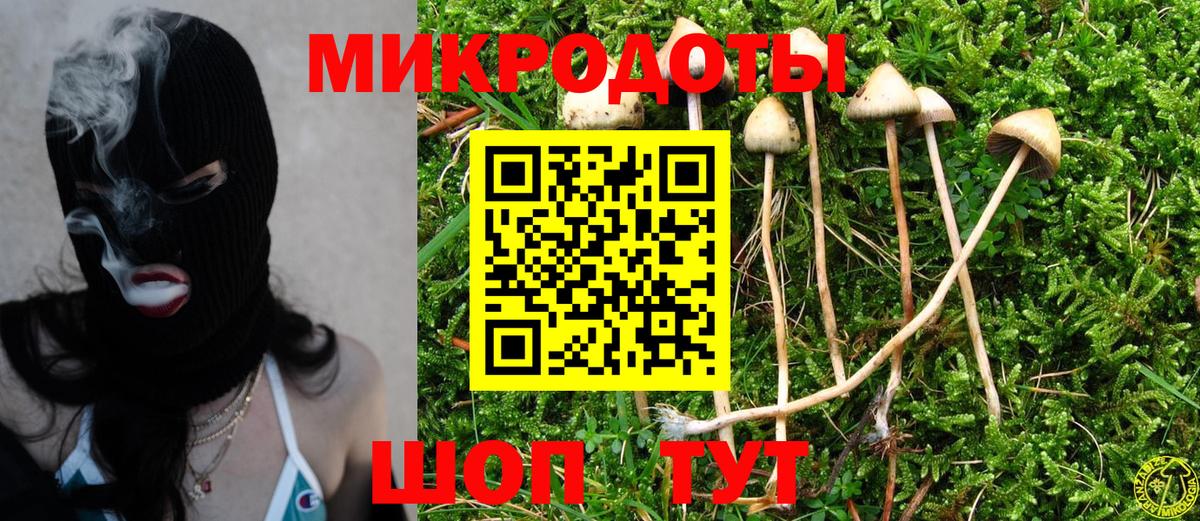 Псилоцибиновые грибы Psilocybe  Вход с VPN  Кохма 